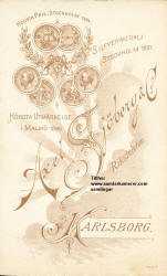 Sjöberg, Axel & Co. i Karlsborg. Inneh. Alfred Sjöberg. Etabl. 1885. image